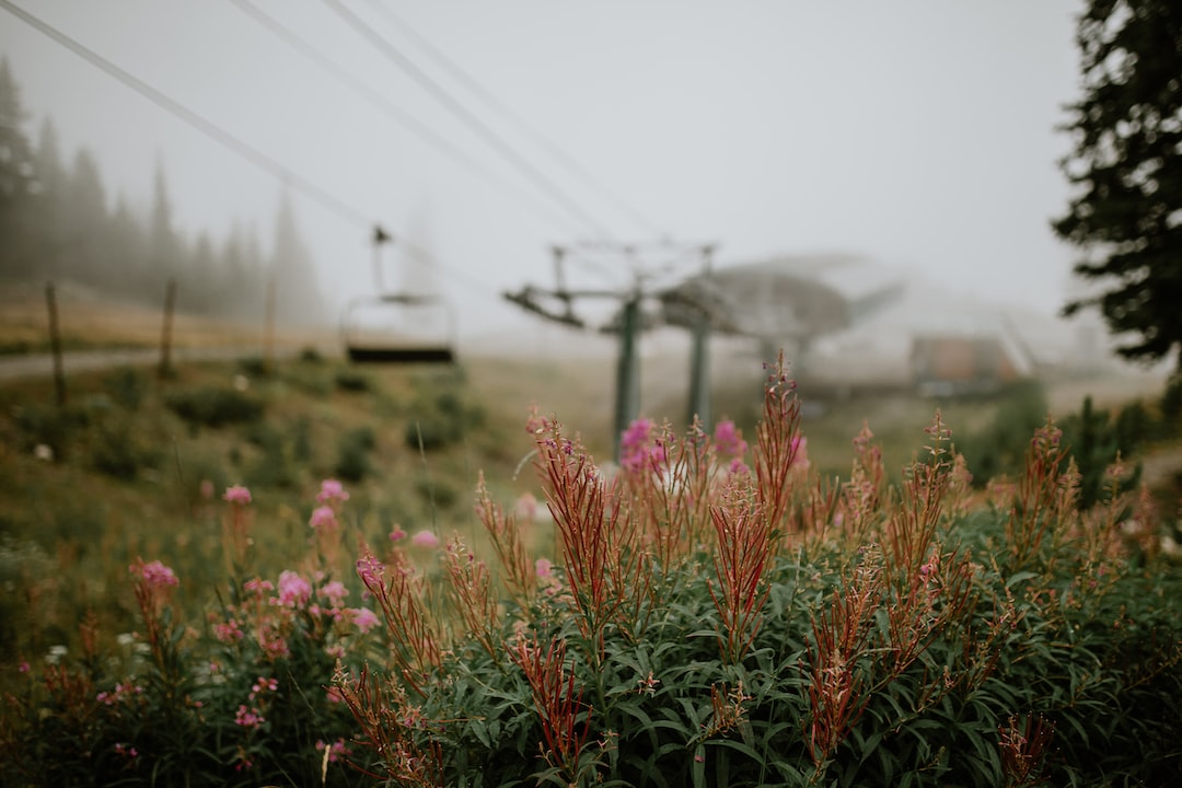 ski resort